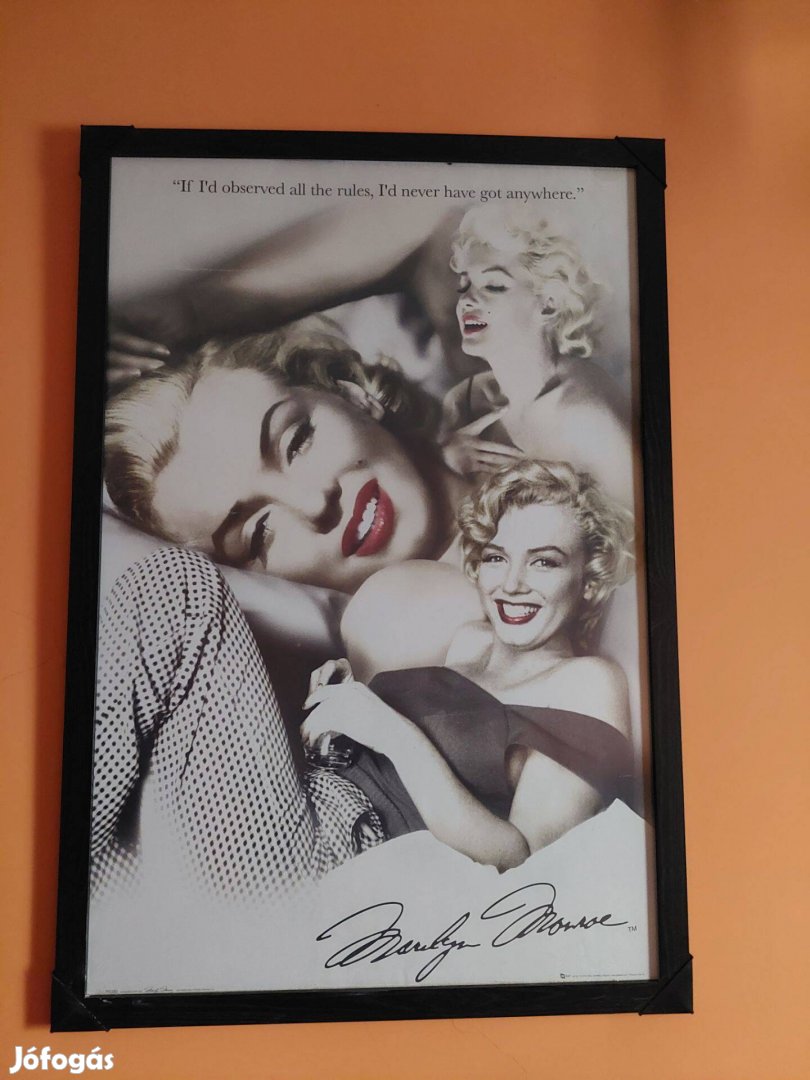 Marilyn Monroe nagy falikép 97×67