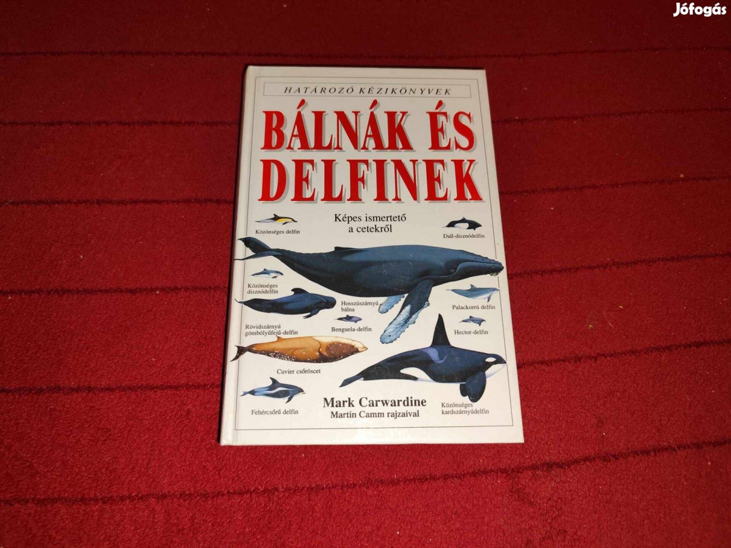 Mark Carwardine: Bálnák és delfinek