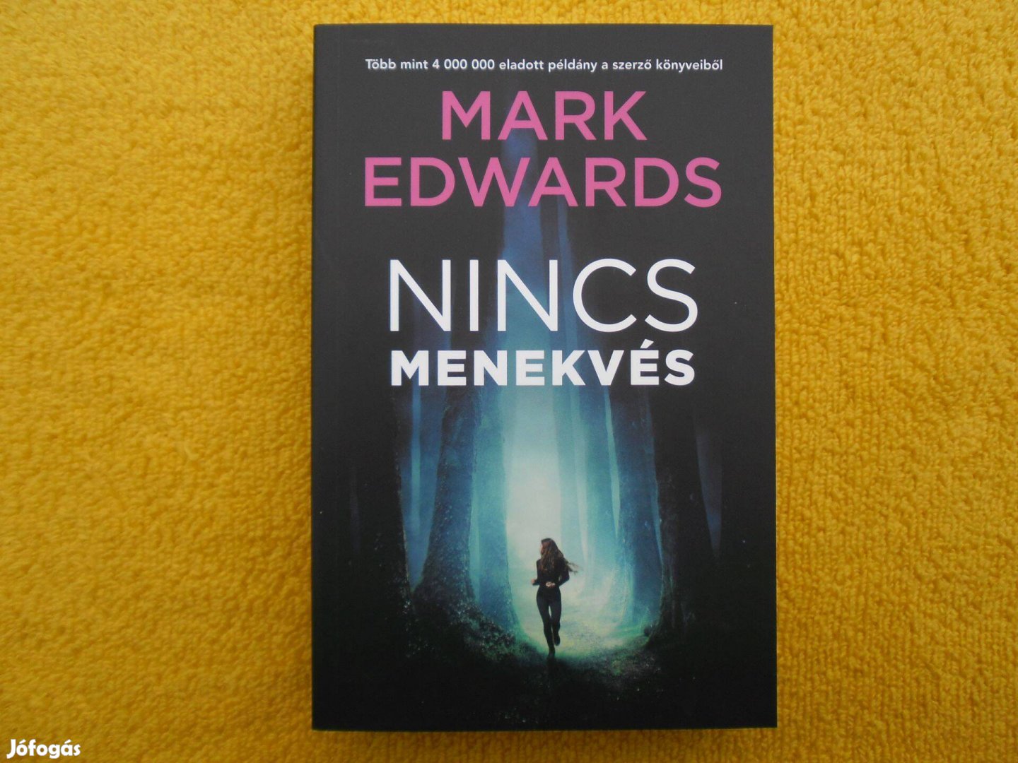 Mark Edwards: Nincs menekvés