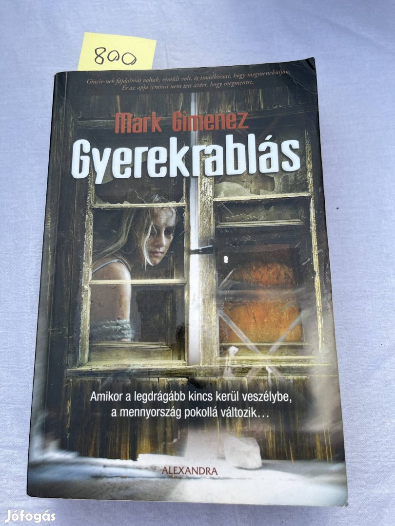 Mark Gimenez: Gyerekrablás