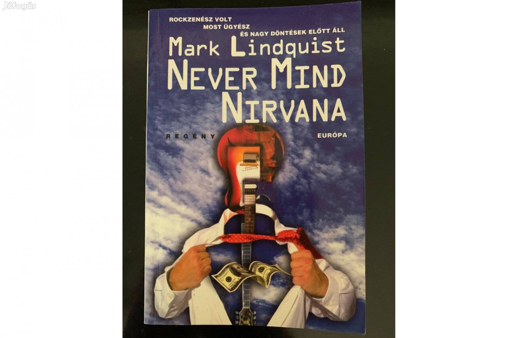 Mark Lindquist: Never Mind Nirvana regény könyv