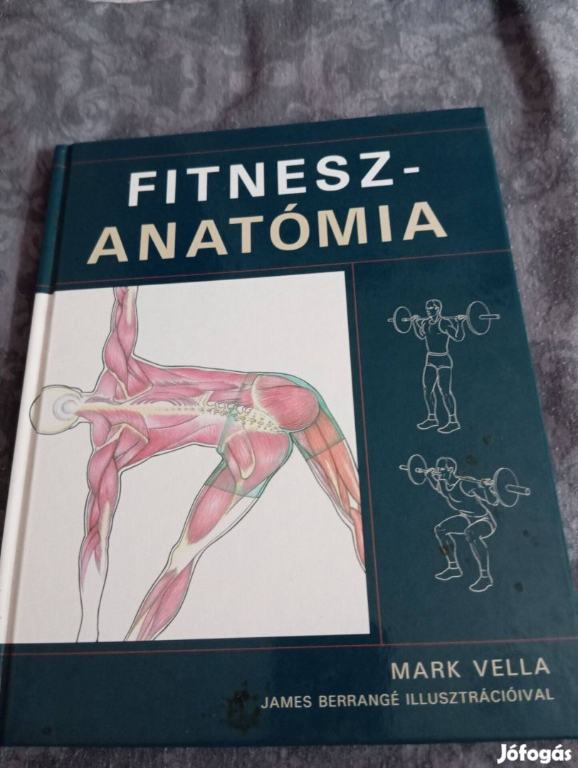 Mark Vella: Fitneszanatómia