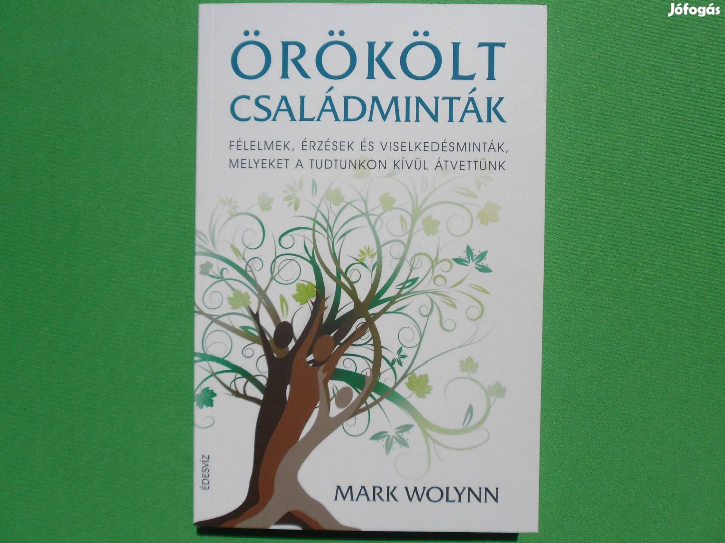 Mark Wolynn: Örökölt családminták