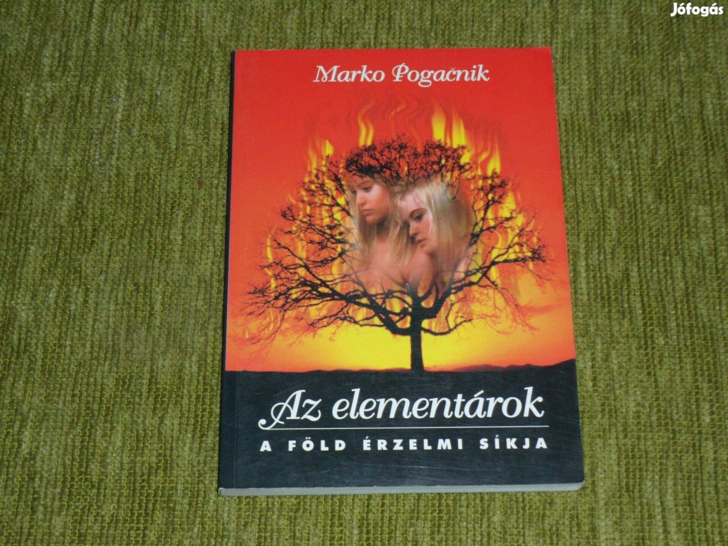 Marko Pogačnik: Az elementárok - A Föld érzelmi síkja