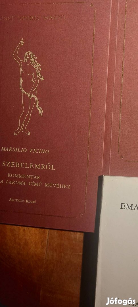 Marsilio Ficino A szerelemről 