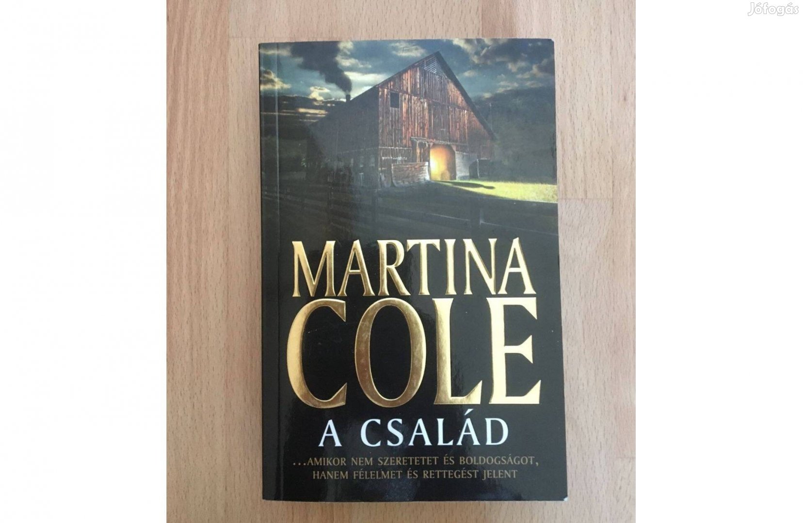 Martina Cole: A család c. könyv