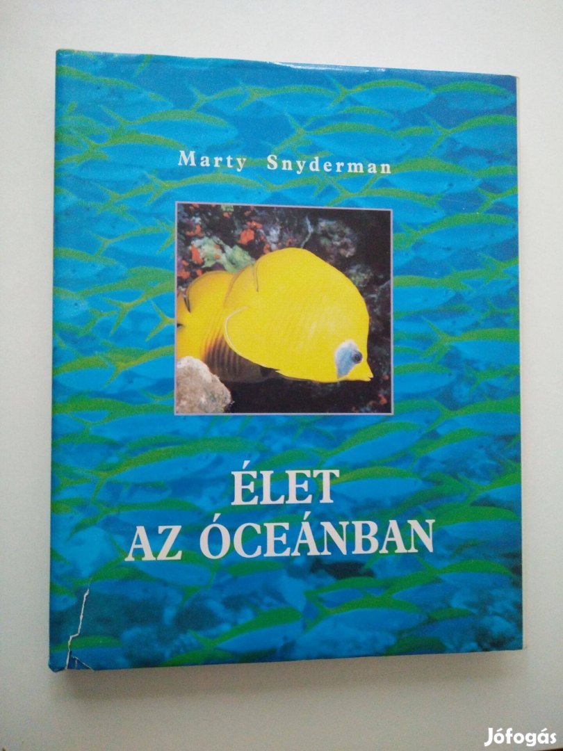 Marty Snyderman - Élet az óceánban