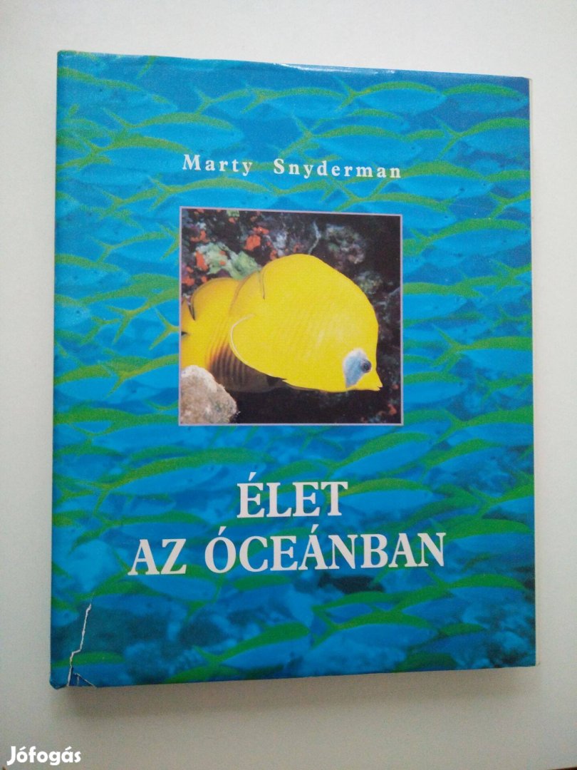 Marty Snyderman - Élet az óceánban