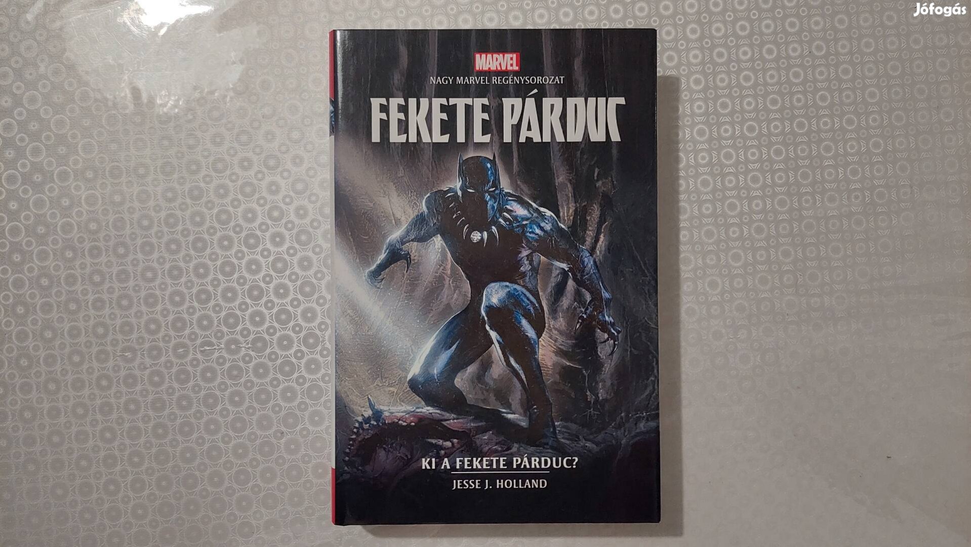 Marvel Fekete Párduc - Ki a fekete párduc regény