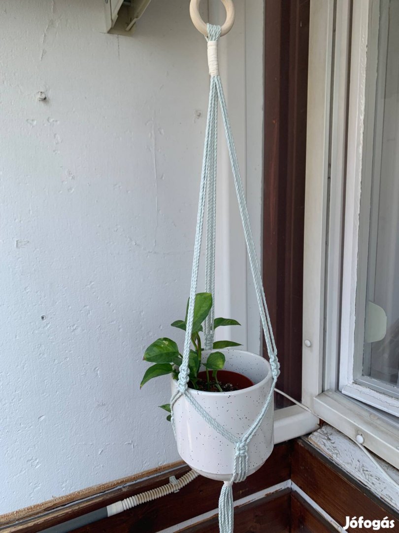 Matcha tea Zöld színű makramé virágtartó
