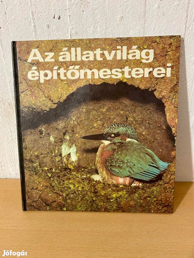 Matthias Freude - Az állatvilág építőmesterei (Móra - Kinderbuchverlag