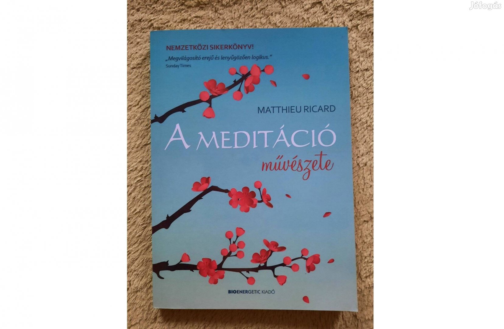 Matthieu Ricard: A meditáció művészete