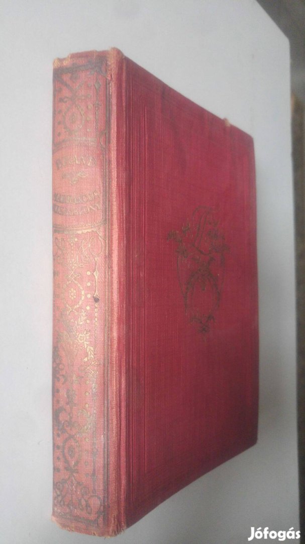 Max Brand Makrancos kisasszony