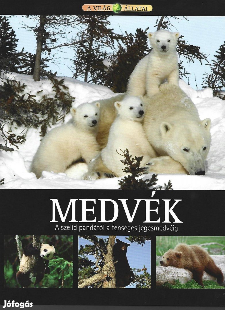 Medvék - A szelíd pandától a fenséges jegesmedvéig