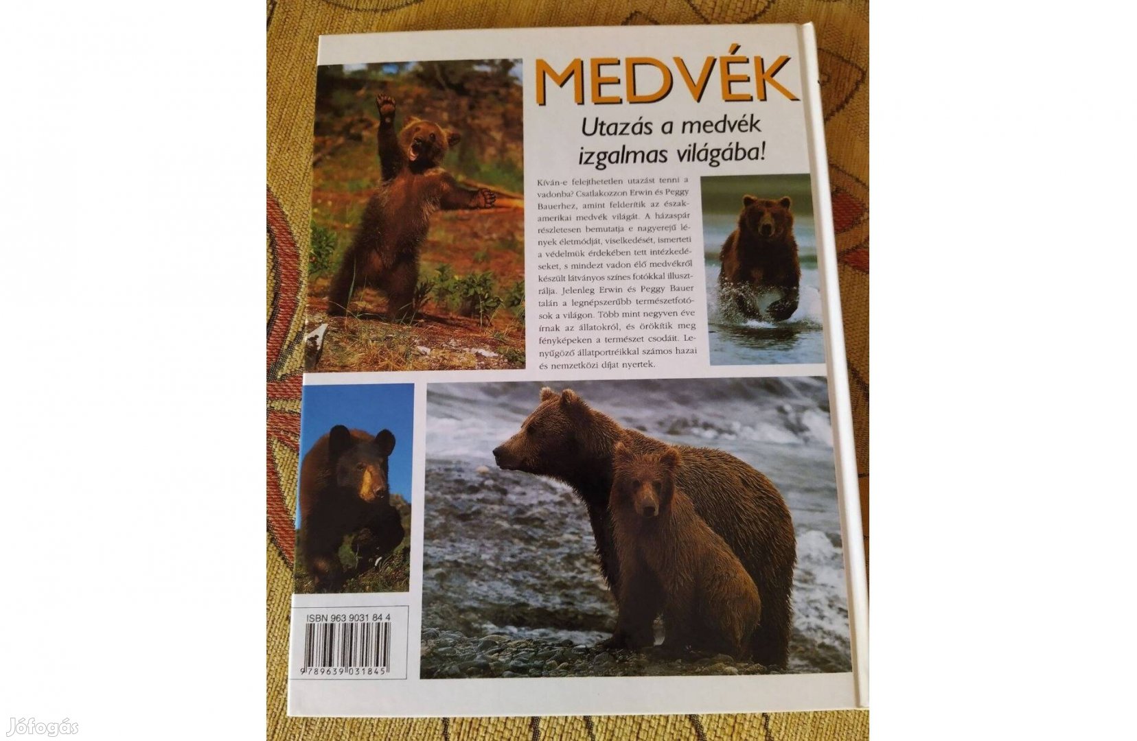 Medvék, ismeretterjesztő könyv nagy fotókkal