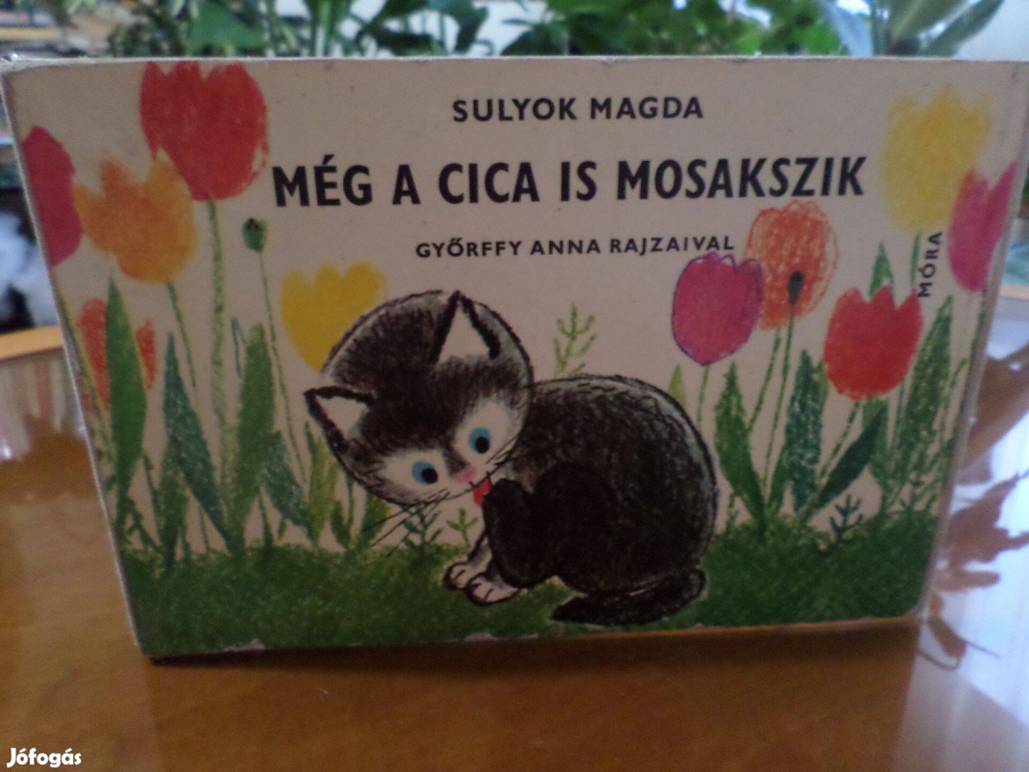 Még A CICA Is Mosakszik Győrffy Anna Rajz. Gyermekkönyv