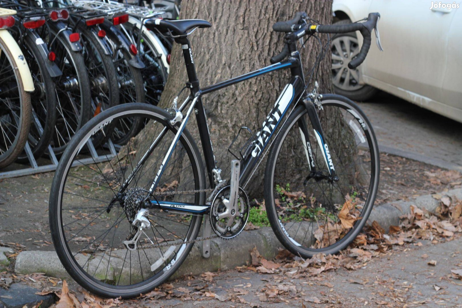 Megkimélt Országúti kerékpár Giant Defy (50,5cm Alu)