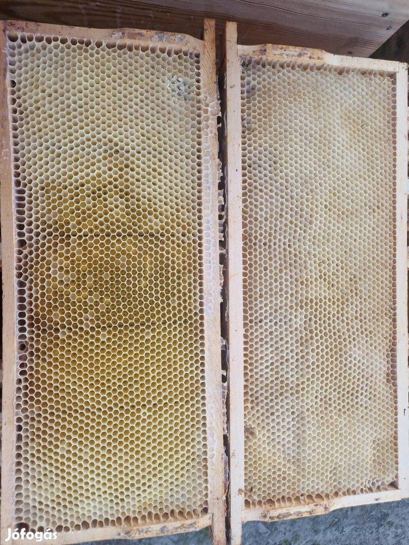 Méh,Méhek,Méhészet, Szűzkeret 