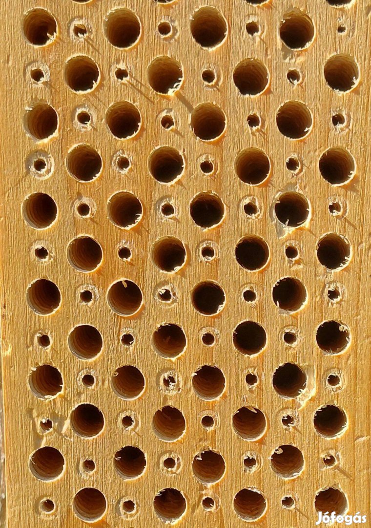 Méh hotel fából