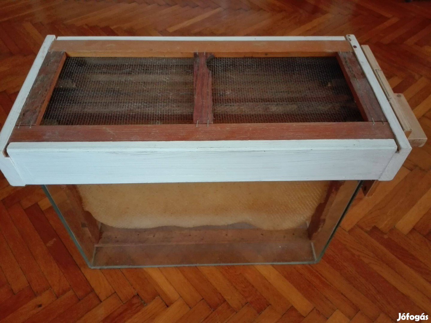 Méhész bemutató kaptár, megfigyelő kaptár