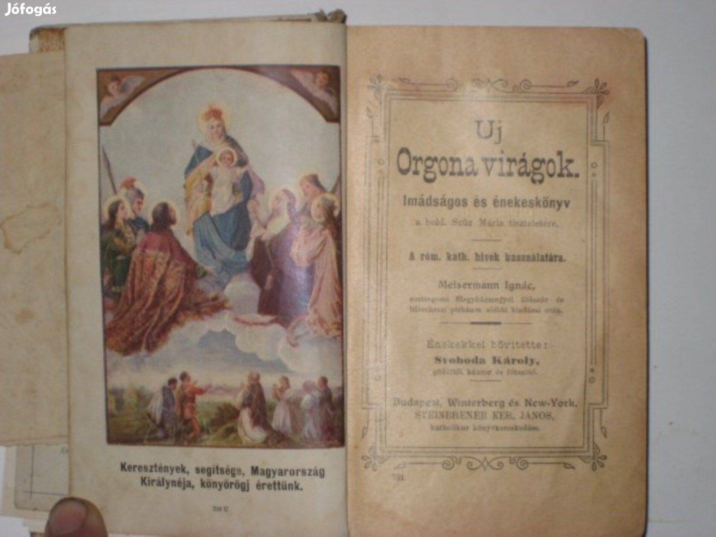 Meisermann Uj Orgona virágok