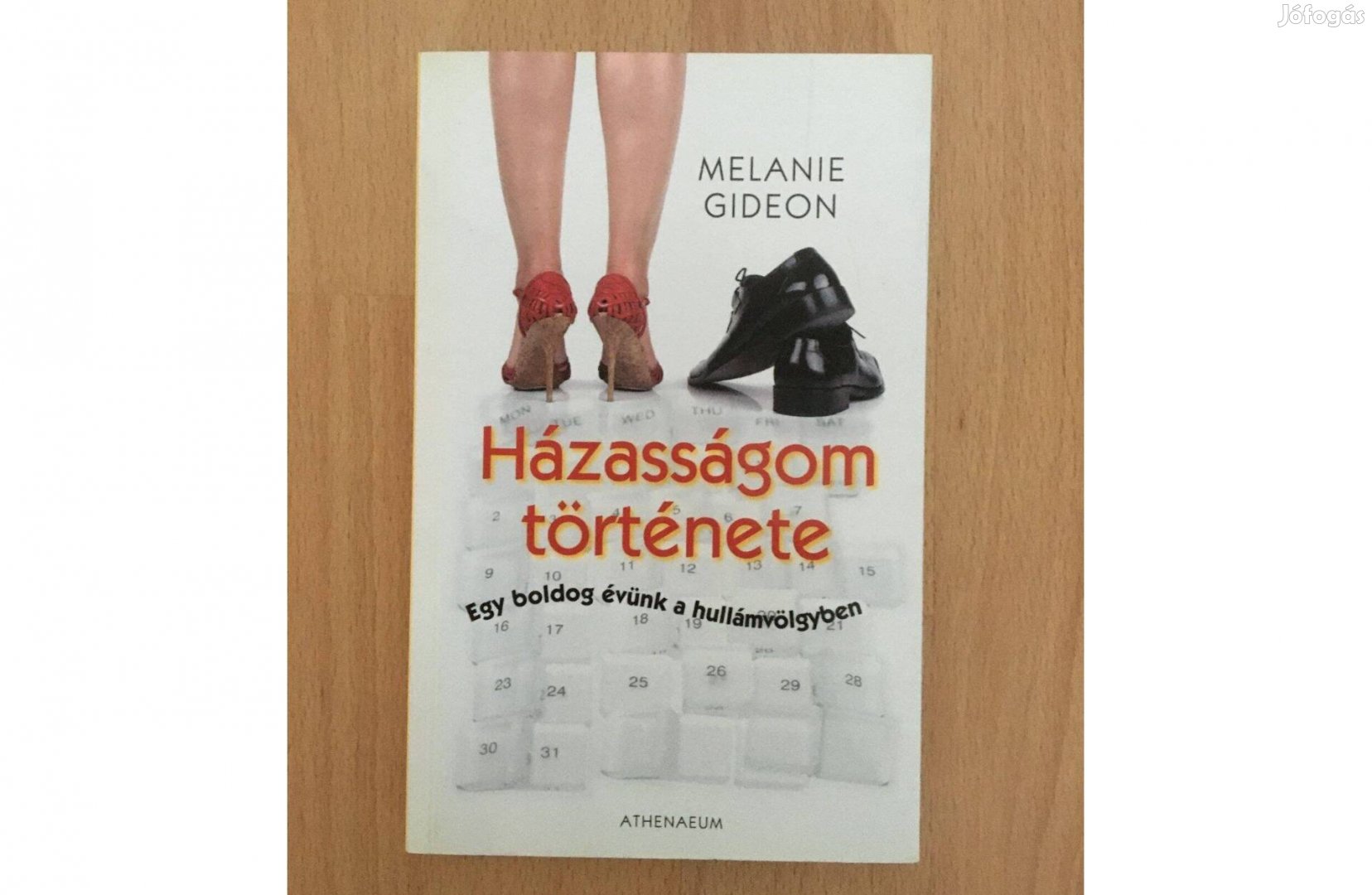 Melanie Gideon: Házasságom története