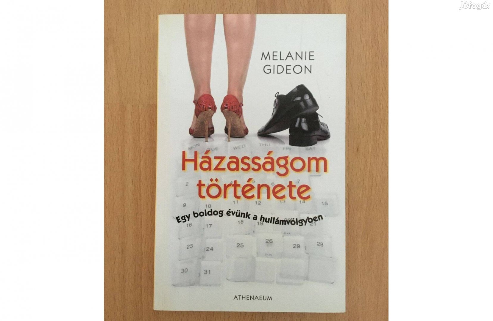 Melanie Gideon: Házasságom története c. könyv