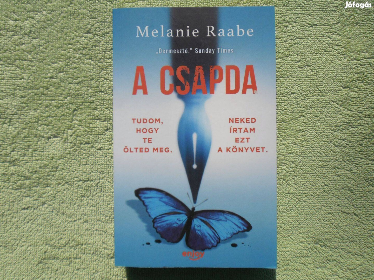 Melanie Raabe: A csapda