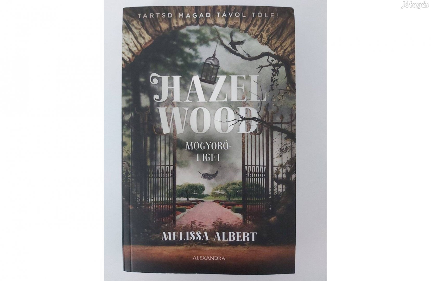 Melissa Albert: Hazel Wood - Mogyoróliget