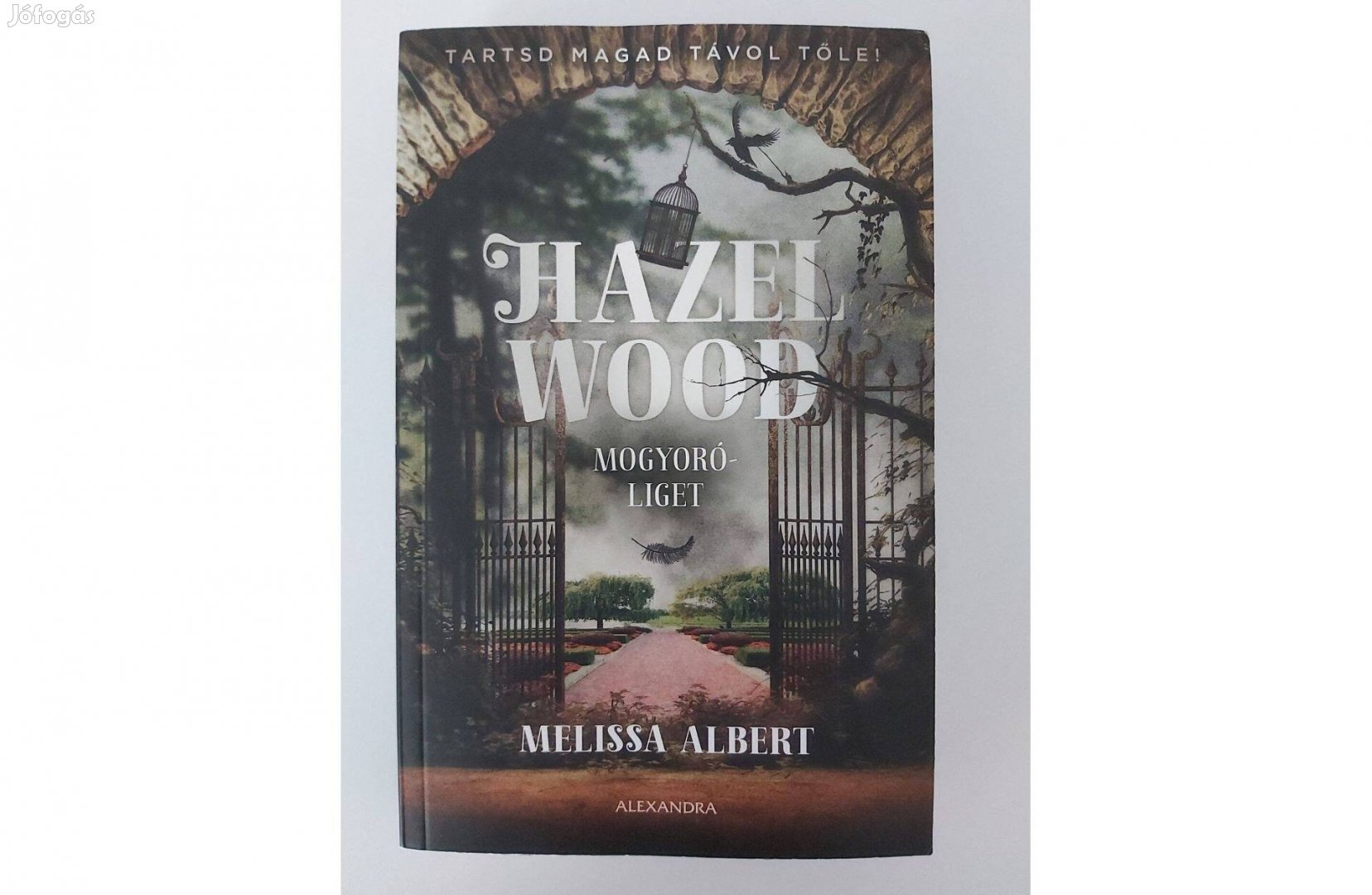 Melissa Albert: Hazel Wood - Mogyoróliget