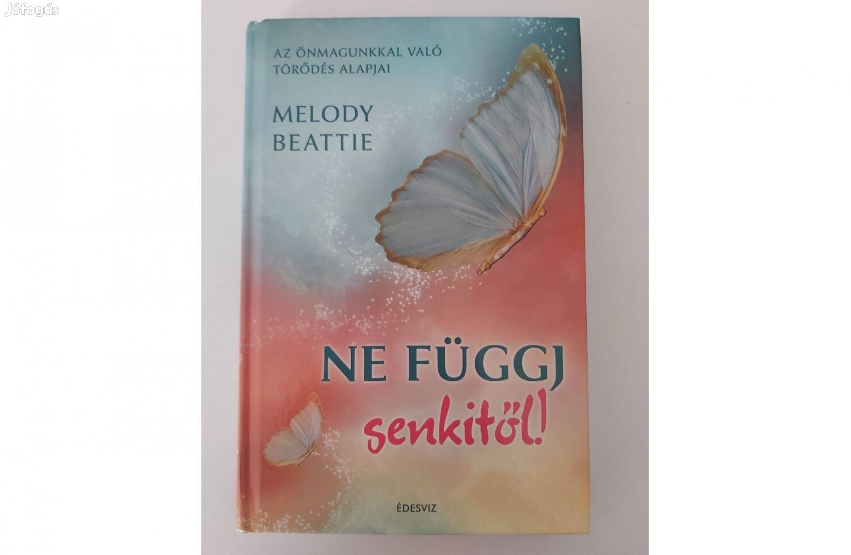 Melody Beattie: Ne függj senkitől!