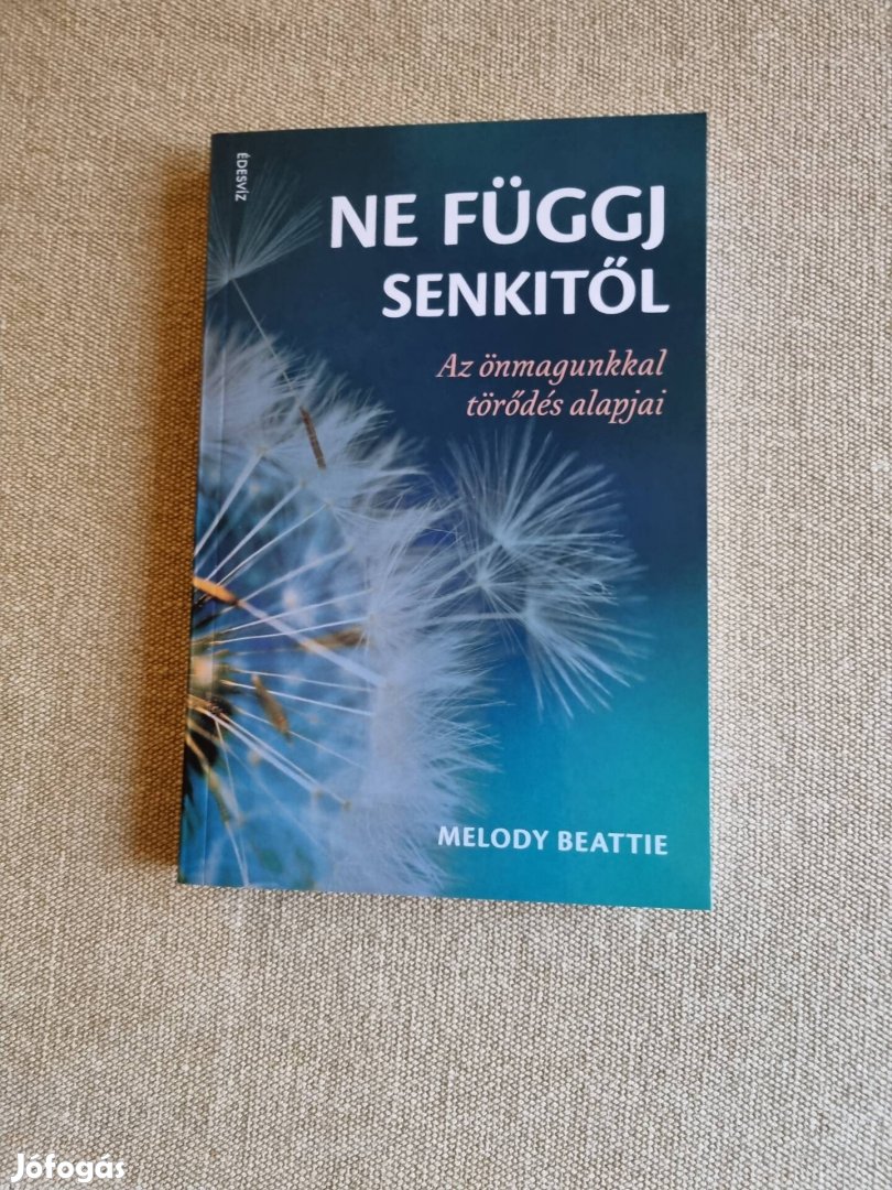 Melody Beattie, Ne függj senkitől 