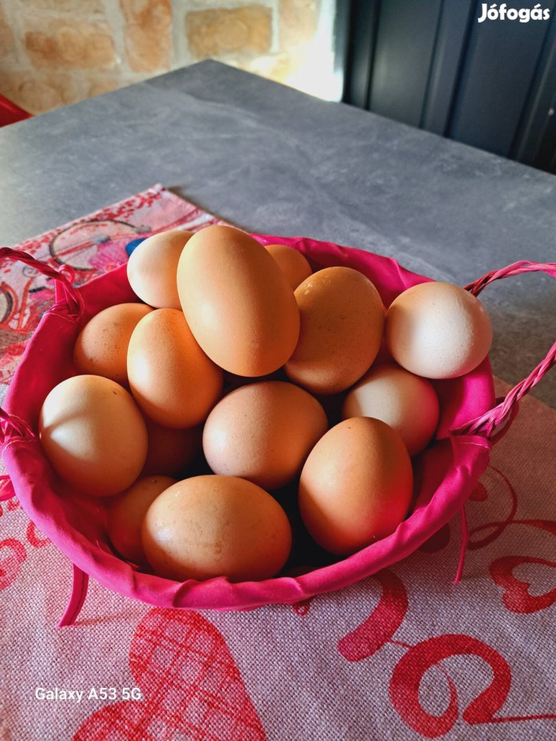 Mélyalmos házi tojás eladó 