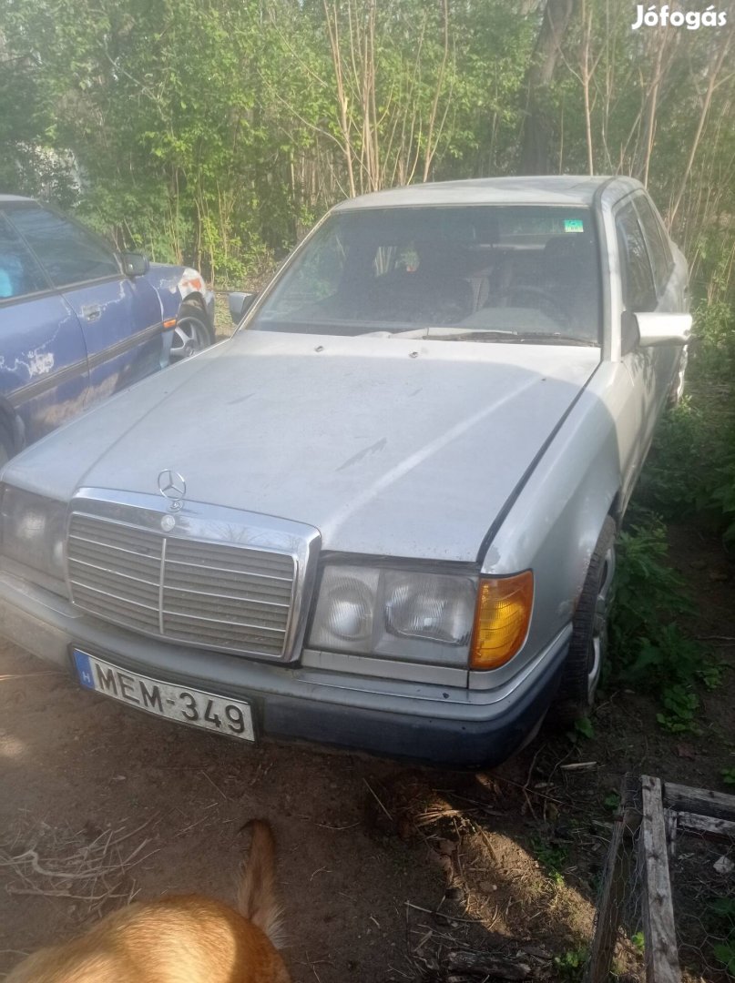 Mercedes 124