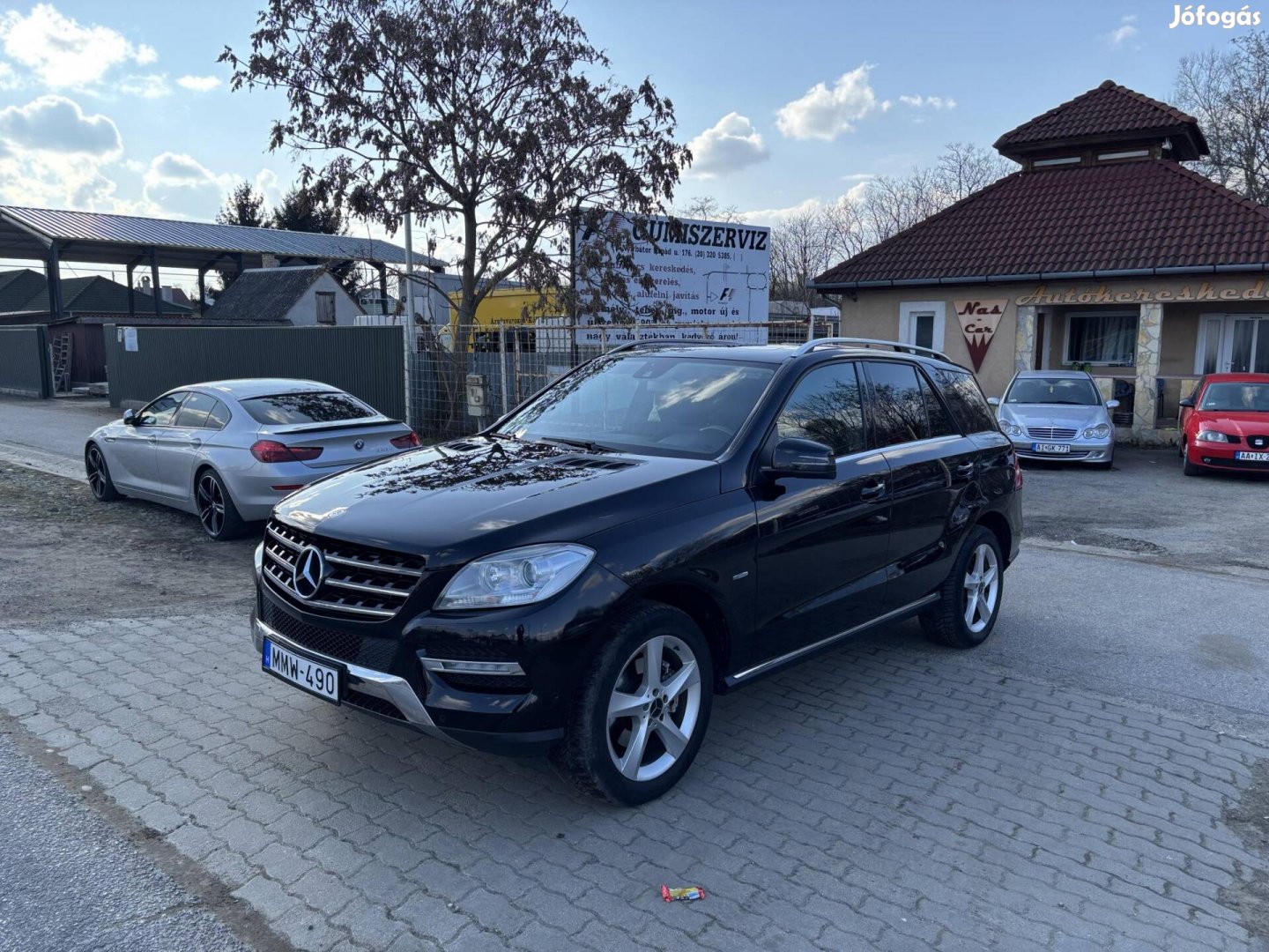 Mercedes-Benz ML 250 Bluetec (Automata)