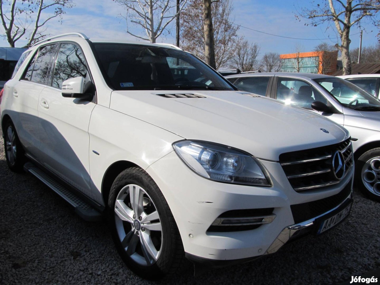 Mercedes-Benz ML 250 Bluetec (Automata) Sport