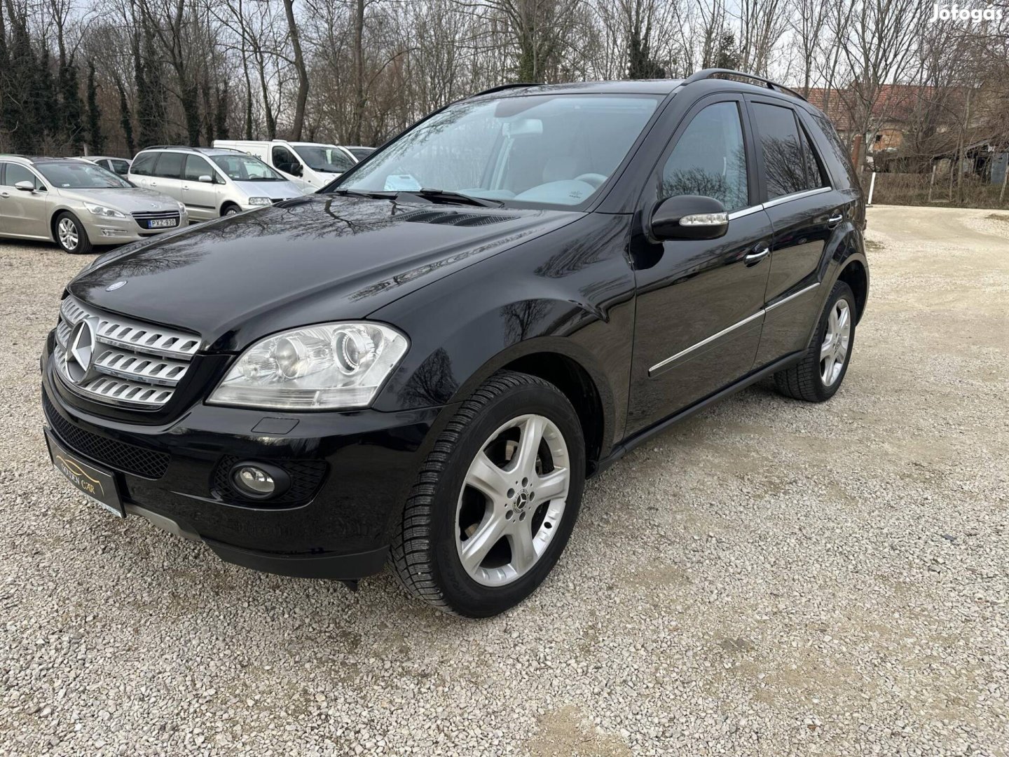 Mercedes-Benz ML 320 CDI (Automata) Alcantra. T...