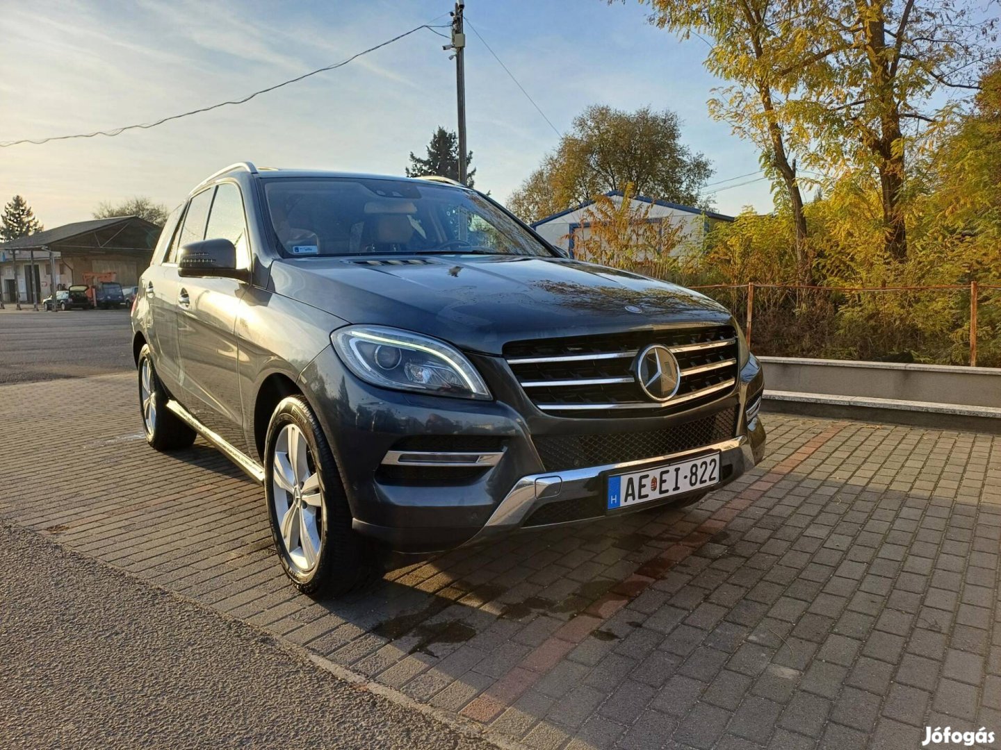 Mercedes-Benz ML 350 Bluetec (Automata) Autóbes...