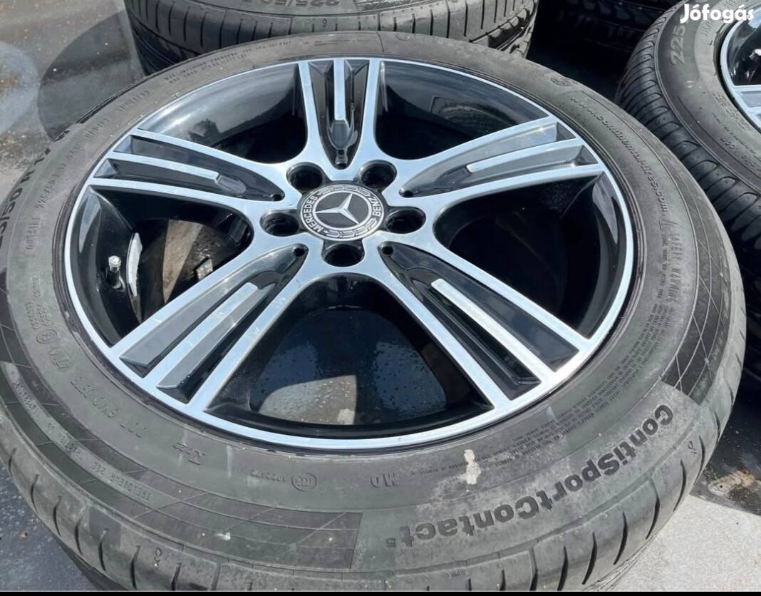 Mercedes  bicolor  17'