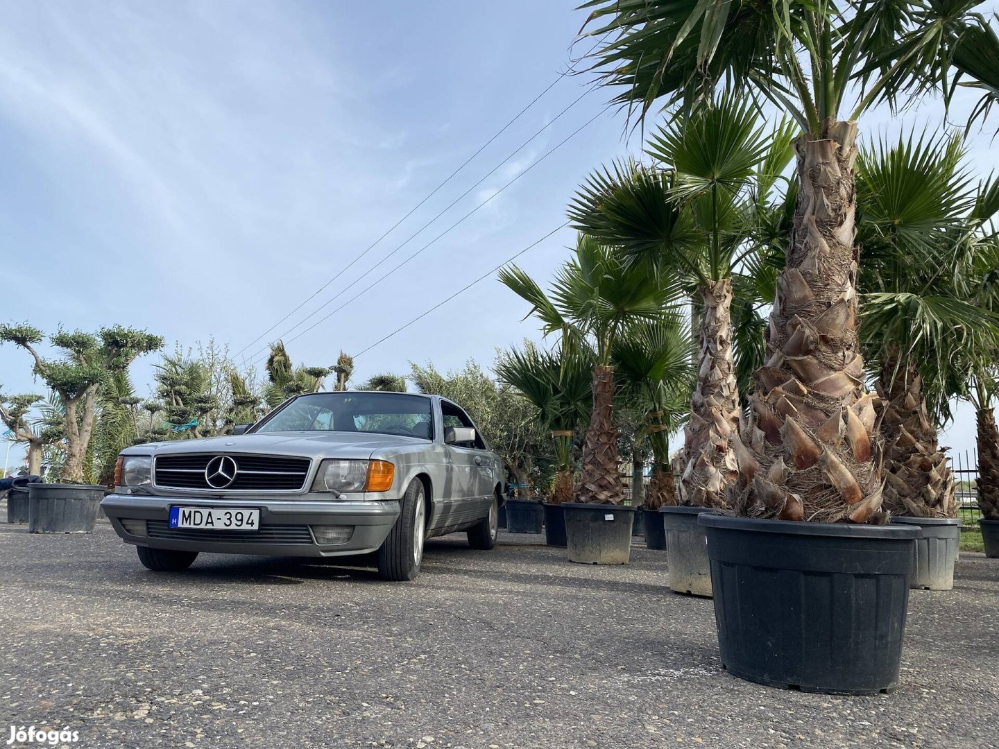 Mercedes-benz w126 coupe c126