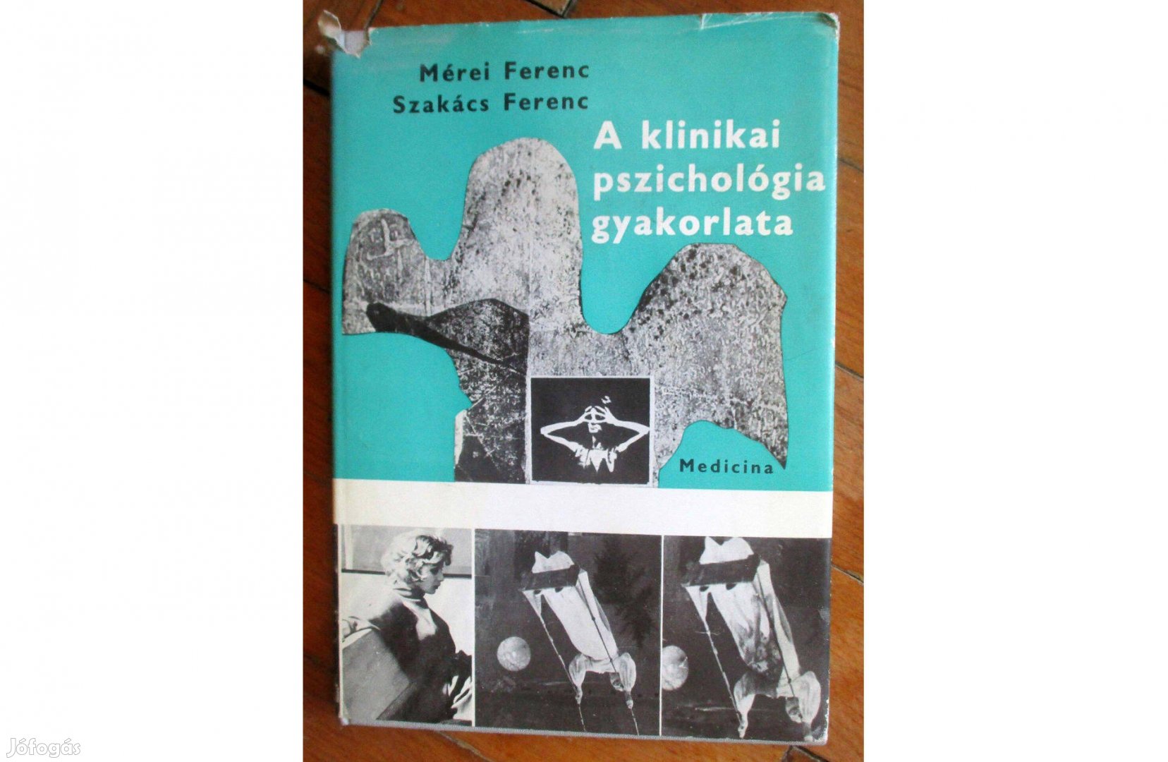 Mérei Ferenc, Szakács Ferenc: A klinikai pszichológia gyakorlata