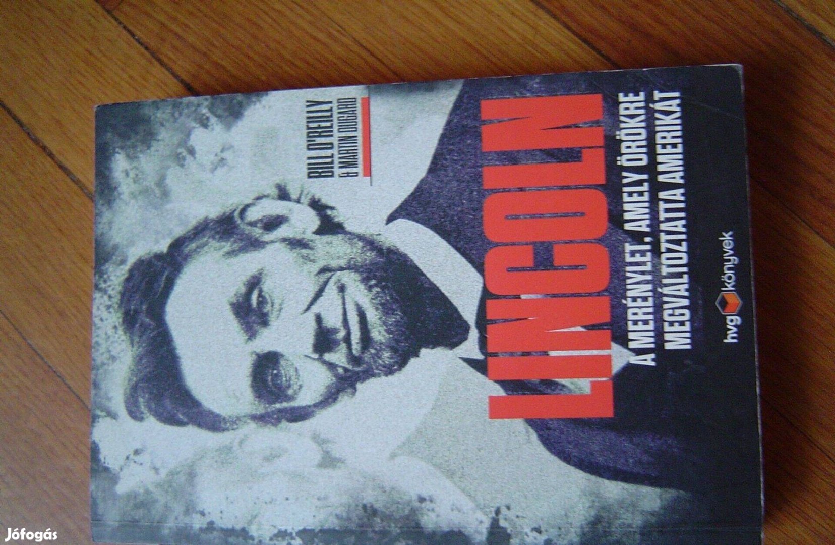 Merénylet Lincoln ellen, könyv