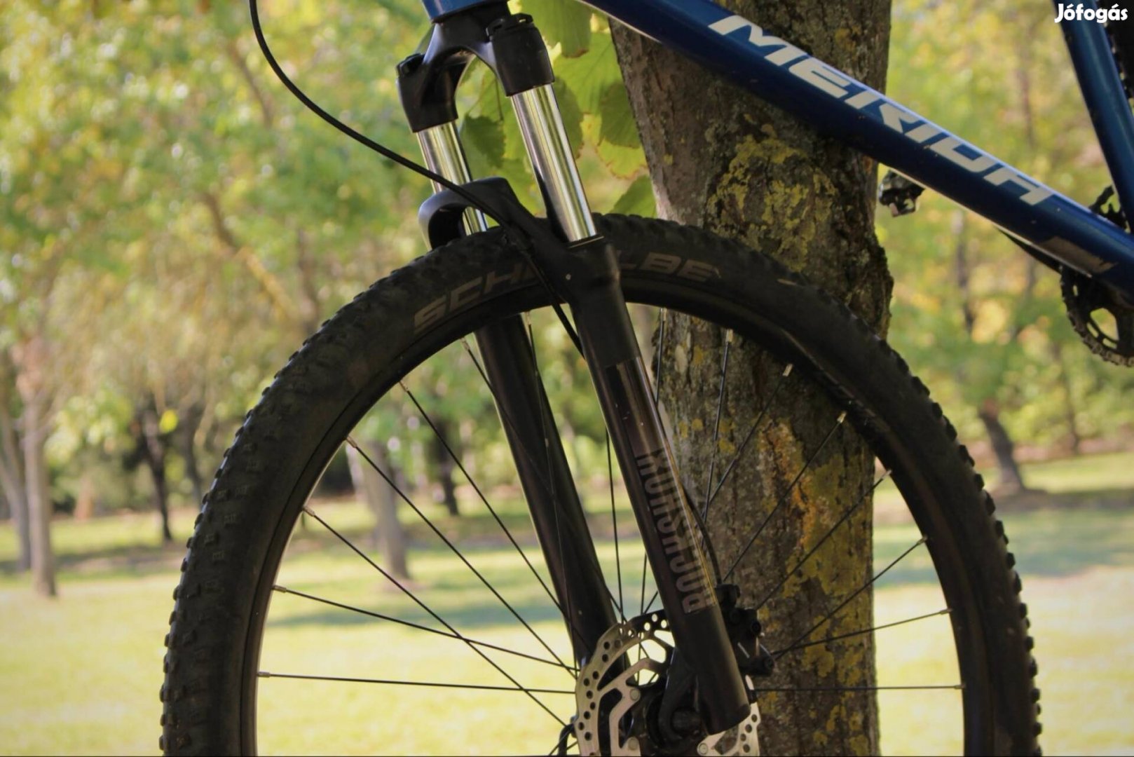 Merida bignine 29"