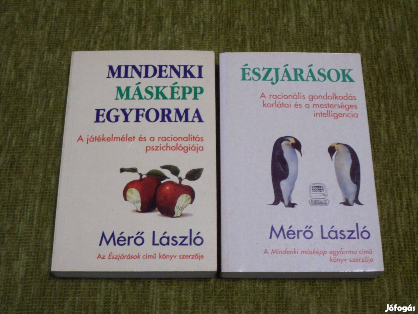 Mérő László: Mindenki másképp egyforma + Észjárások