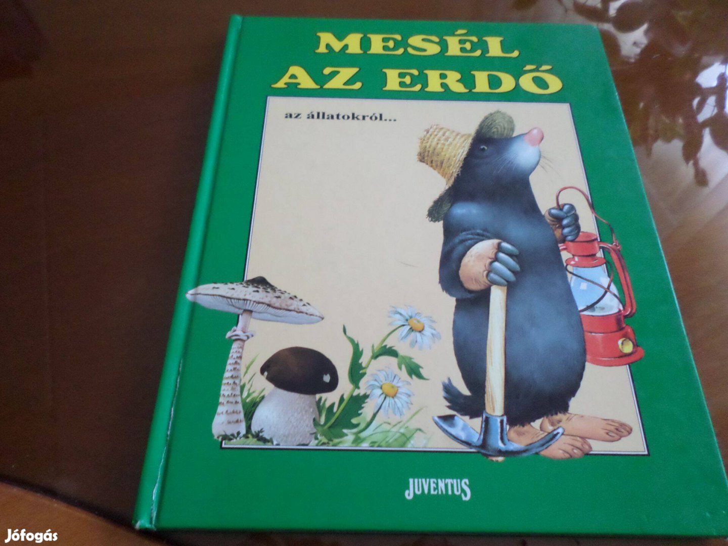 Mesél Az Erdő az állatokról.,Tony Wolf Juventus, 1993 Gyermekkönyv