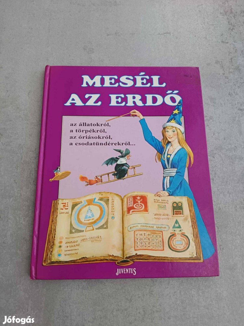 Mesél az erdő