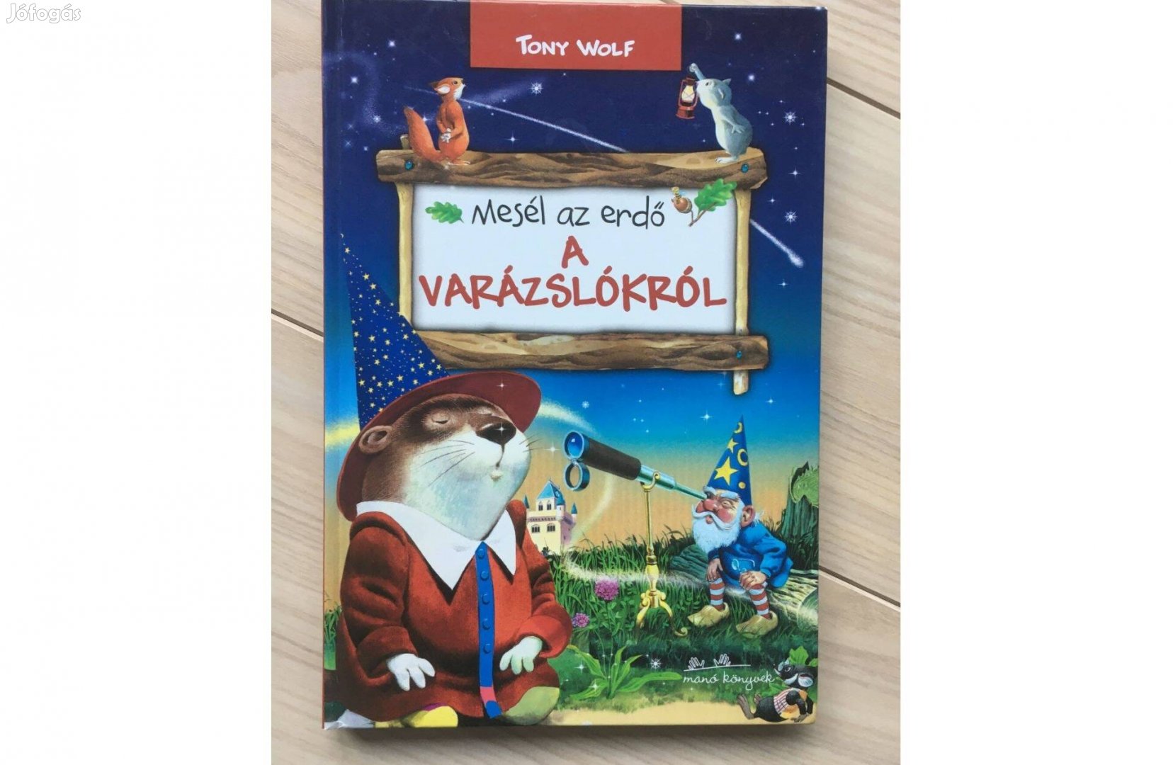 Mesél az erdő: A varázslókról