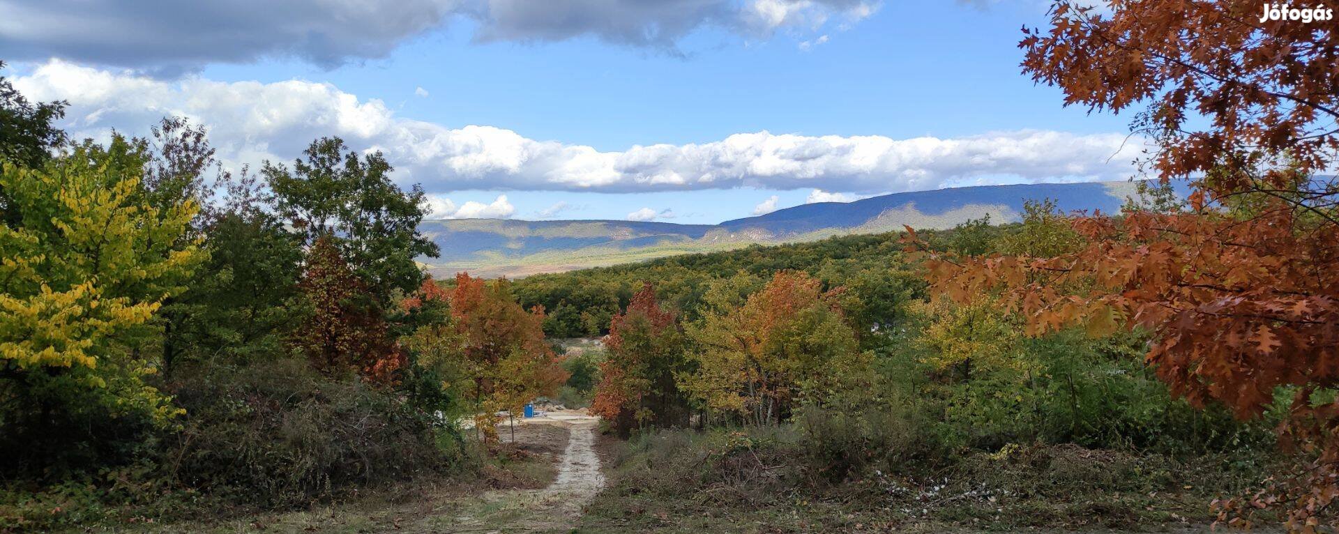 Meseszép erdőszéli panorámás telek