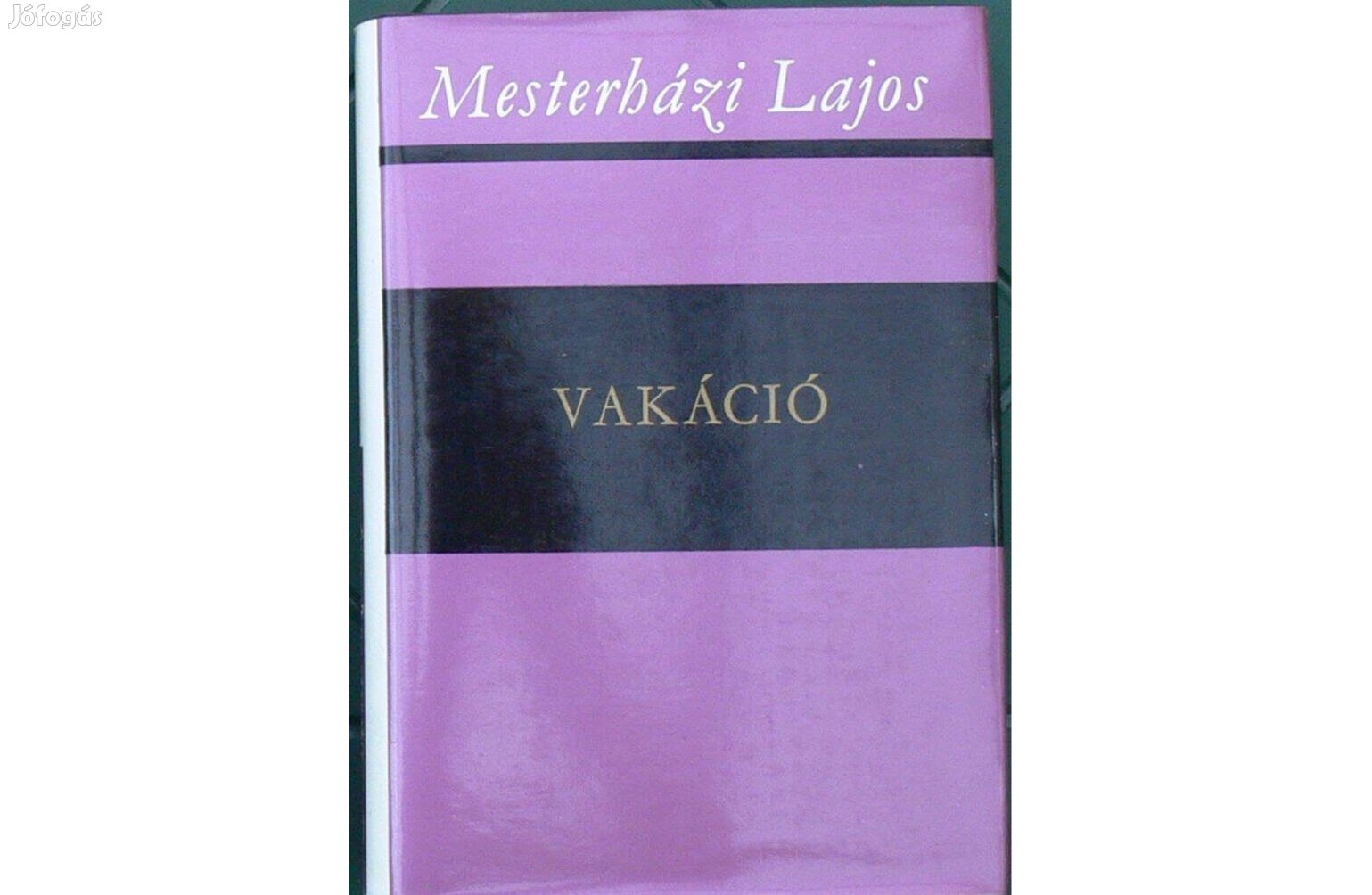 Mesterházi Lajos: Vakáció