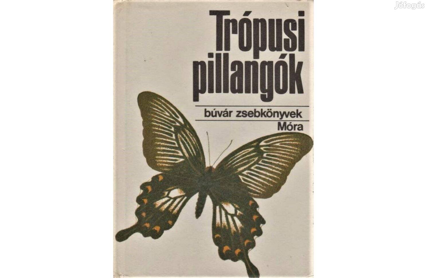 Mészáros Zoltán: Trópusi pillangók ( Búvár Zsebkönyvek )